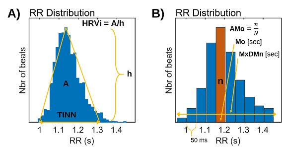 Geometric measures of HRV